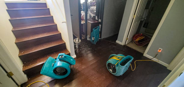 Best Carpet water damage restoration  in Sound Beach, NY