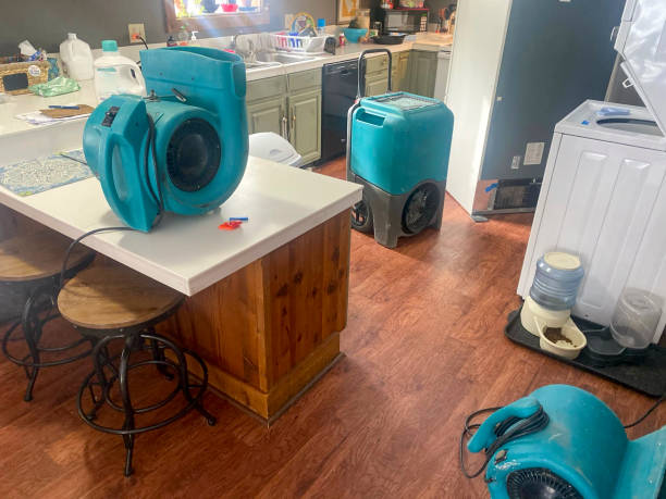 Best Ceiling water damage repair  in Sound Beach, NY