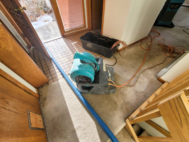 Best Ceiling water damage repair  in Sound Beach, NY