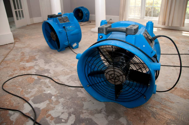 Best Flood restoration services  in Sound Beach, NY