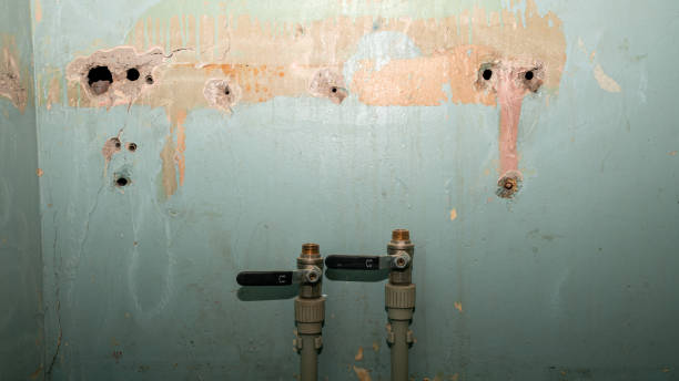 Best 24-hour water damage restoration  in Sound Beach, NY