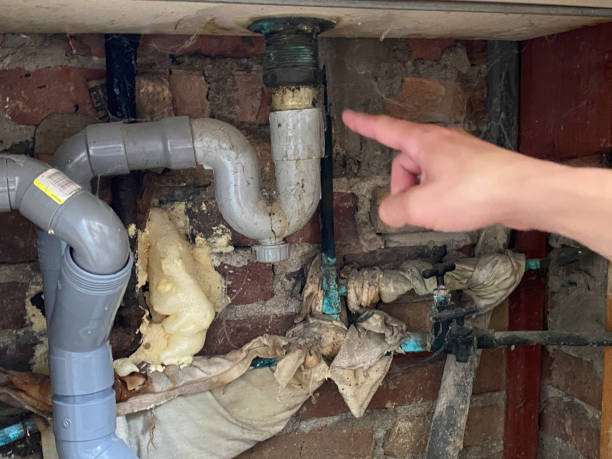 Best Local water damage restoration  in Sound Beach, NY