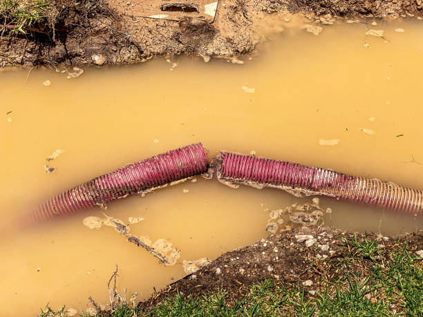Best Basement water damage restoration  in Sound Beach, NY
